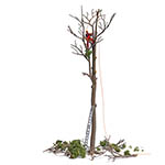 070-7971 - 1:87 - Baumpflege